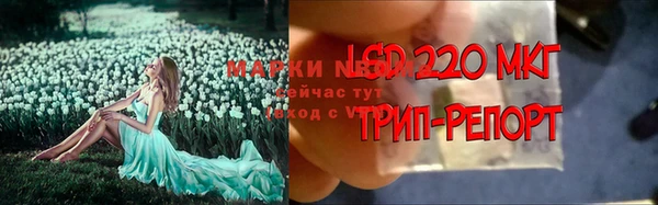 ECSTASY Богородицк