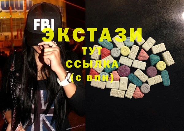 ECSTASY Богородицк