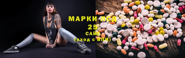 ECSTASY Богородицк