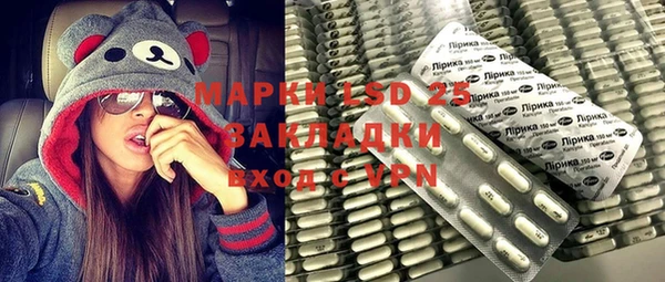 прущий лед Богданович