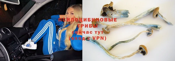 ешки Бронницы