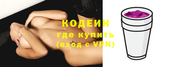 дживик Бородино