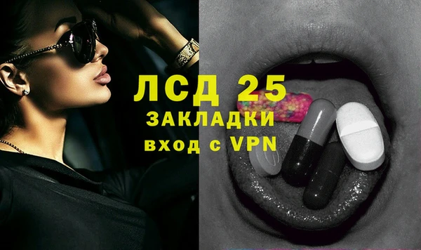 дживик Бородино