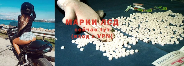 дживик Бородино