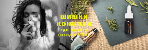 ешки Бронницы