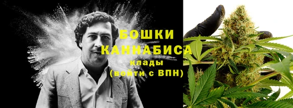 прущий лед Богданович