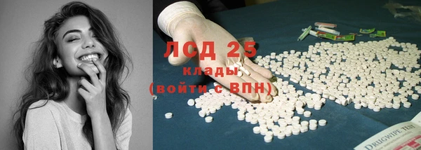 дживик Бородино