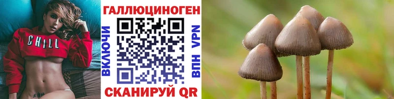 Галлюциногенные грибы Psilocybine cubensis  Севск 